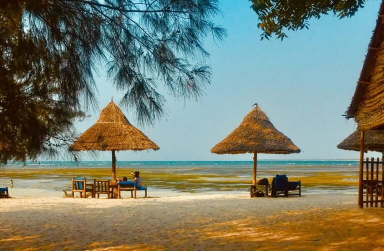 Zanzibar: Een Opkomend Paradijs voor Helal Toerisme