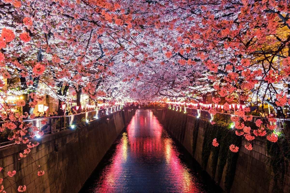 Japan zal zijn culturele erfgoed promoten om toerisme te verhogen