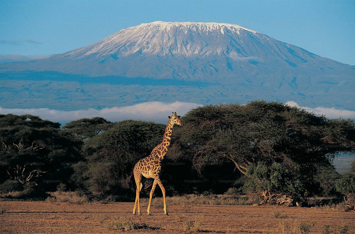 Kenya ontwikkelt een kader voor halal toerisme