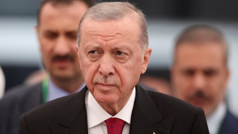 Turkije's Erdoğan zal Syrië en Caïro bezoeken