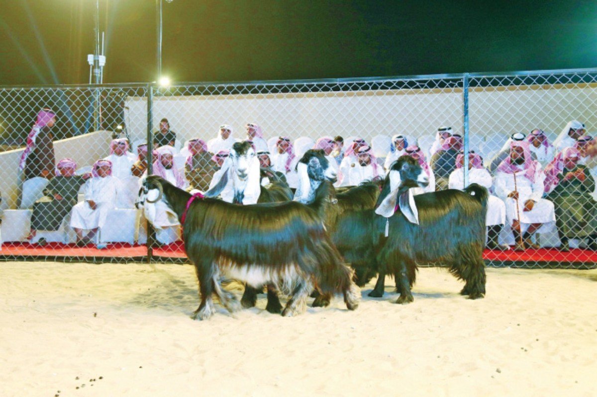 2025 Katara Halal Festival: Qatar's Halal Heritage is Celebrated