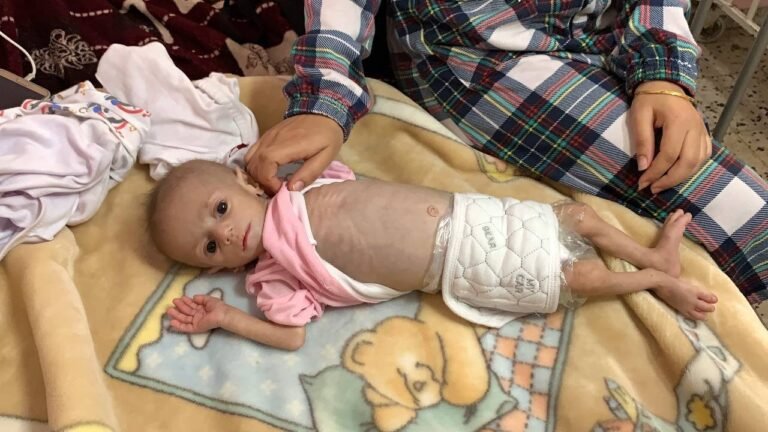 De Dood van een Generatie: Gazababy's Strijden Tegen Honger