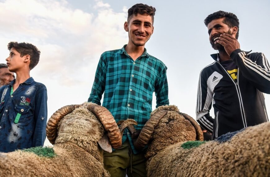 Offerfeest: Wat is een Offer, Waarom Wordt Er Dieren Geofferd?