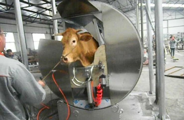 Is het machine snijden halal? - Gebeden