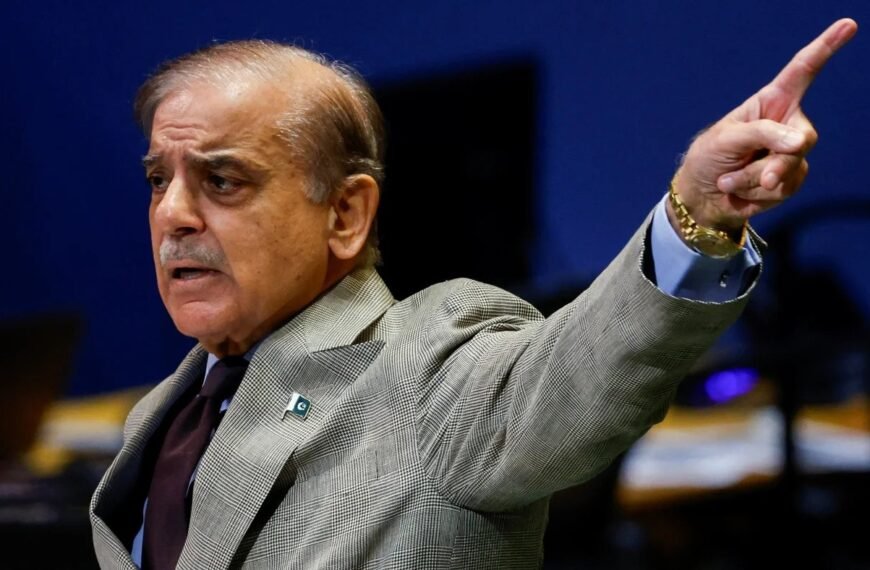VN Algemene Vergadering 2025: Pakistan en Bangladesh hebben 'grenzen van voor 1967' voor Palestina vastgesteld