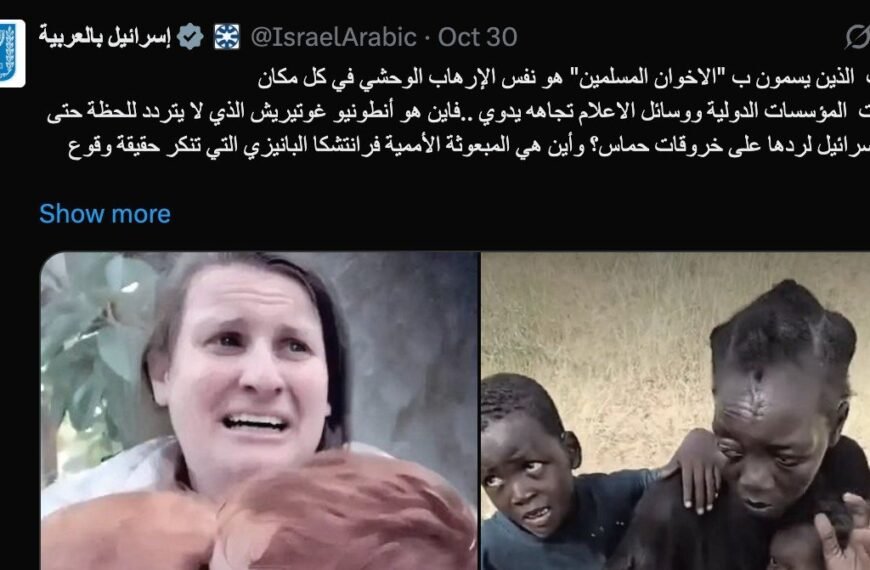 Israël en VAE beïnvloeders richten zich op het Soedanese leger in de RSF's El-Fasher-bloedbad