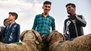 Kurban Bayramı: Kurban Nedir, Neden Hayvan Kesilir?
