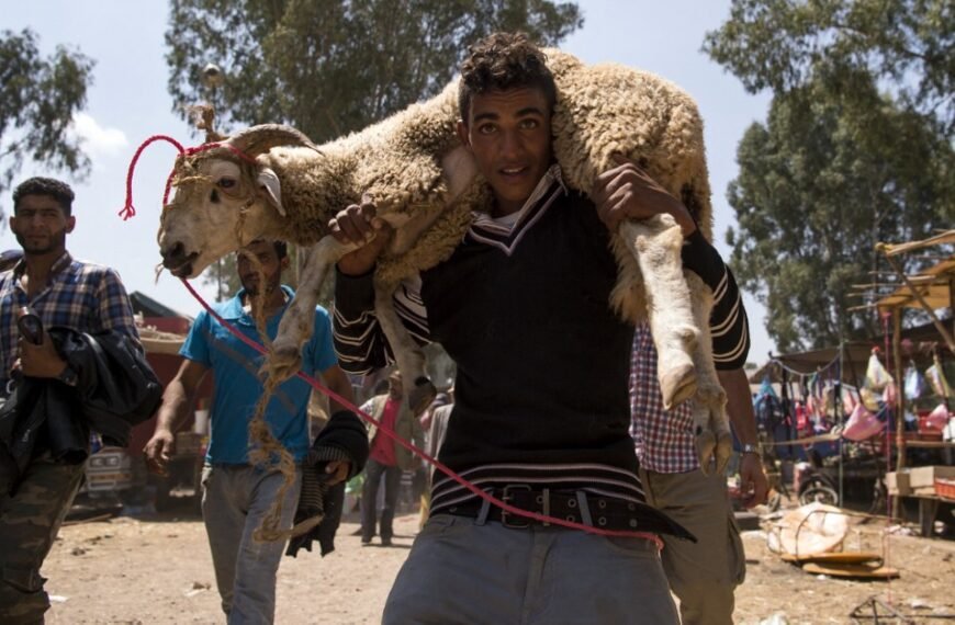 Kurban Bayramı: Faslılar, maddi zorluklar nedeniyle kurban kesmesin!
