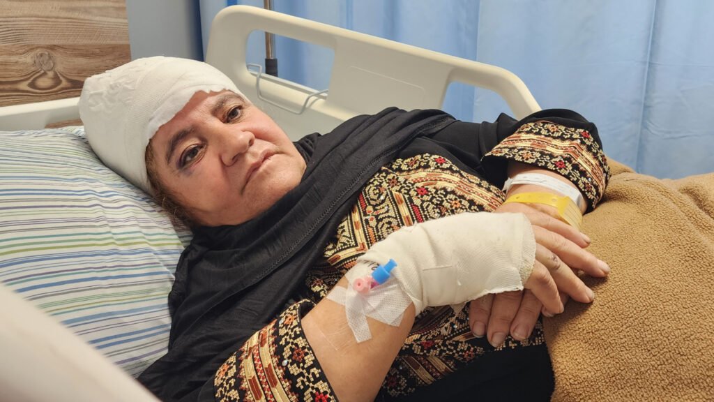 Zeytinlikler Tehdit Altında: Filistinli Aileler Hasatta Şiddetle Karşılaşıyor
