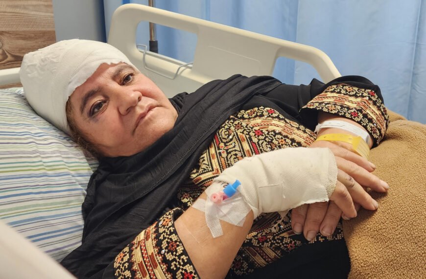 Zeytinlikler Tehdit Altında: Filistinli Aileler Hasatta Şiddetle Karşılaşıyor